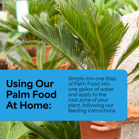 Yucca extract enhances nutrient absorption and promotes root development.