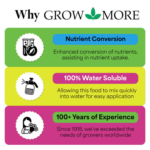 Indoor potted plants thriving with water-soluble Sea Grow fertilizer