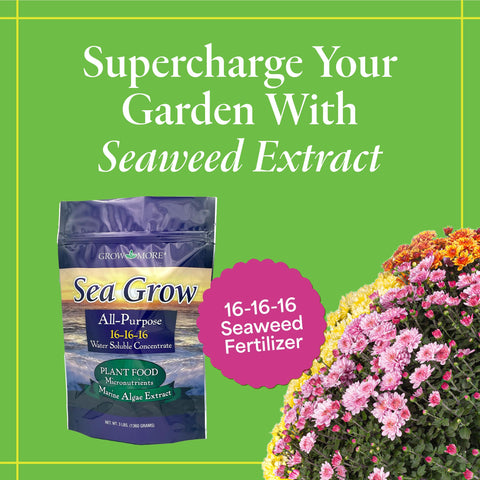 Grow More Sea Grow kelp fertilizer dry granules close-up for soil nourishment