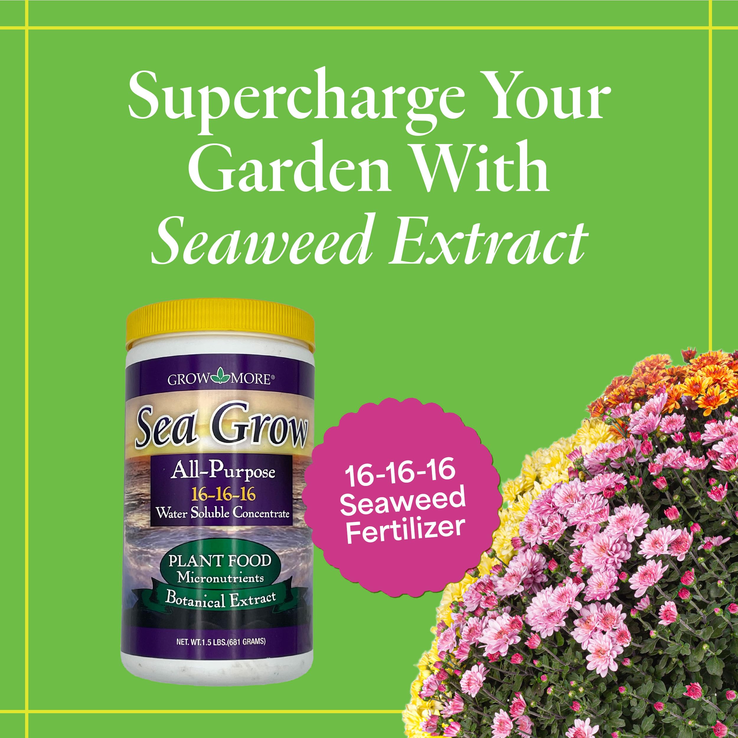 Grow More Sea Grow kelp fertilizer label aids clear nutrient information for growth