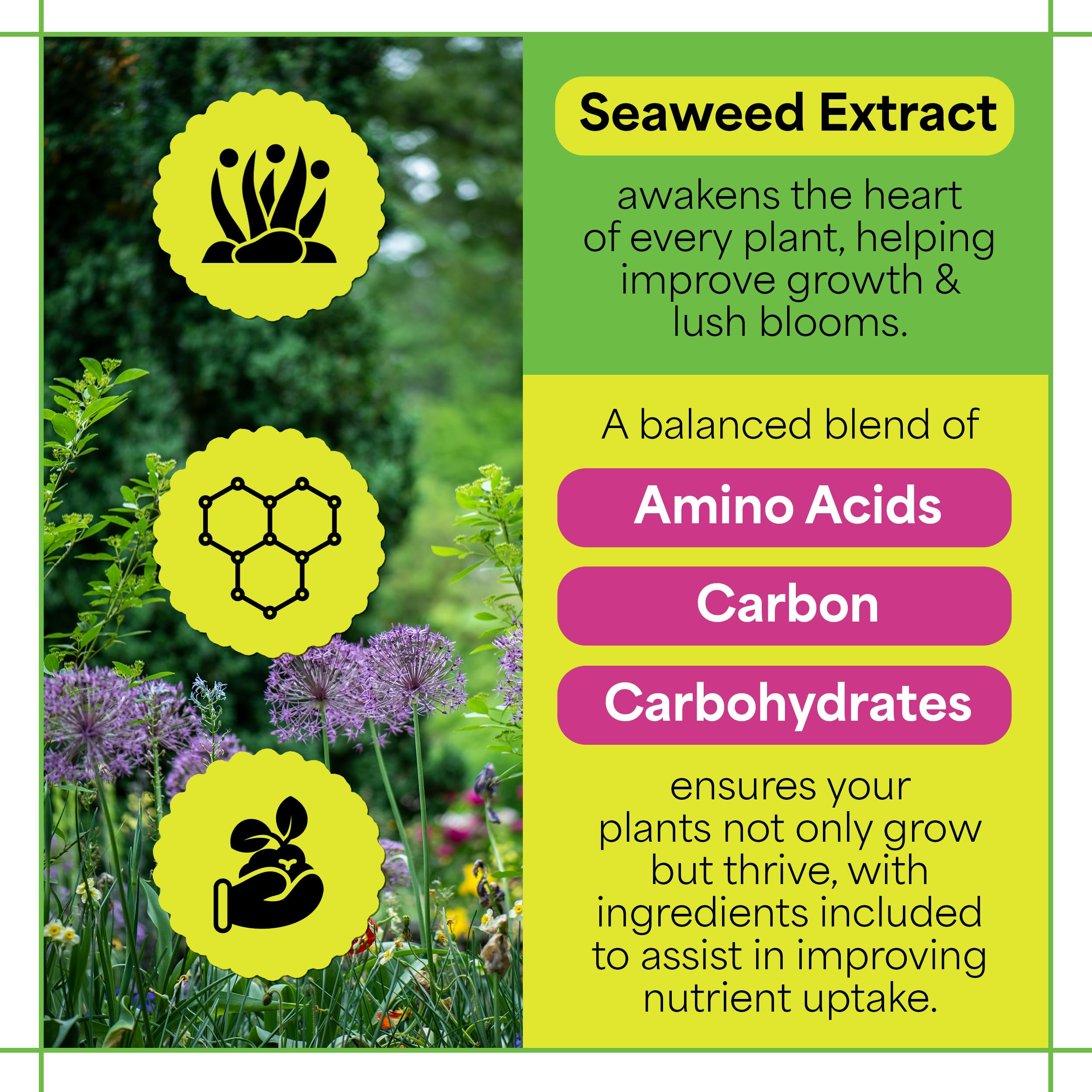 Grow More Sea Grow kelp fertilizer scoop demonstrates easy measurement for precise garden feeding