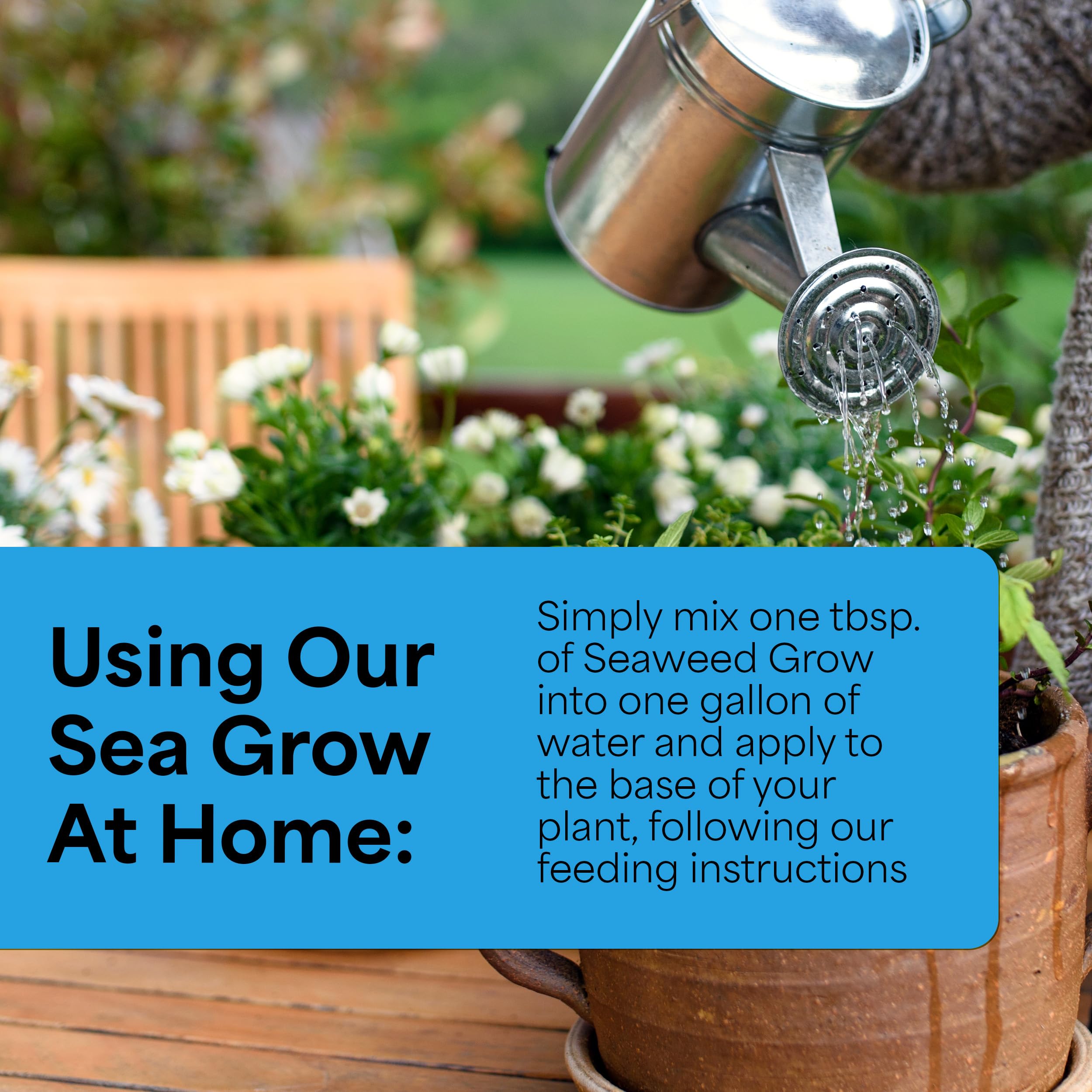 Outdoor vegetable garden benefiting from Sea Grow bloom booster
