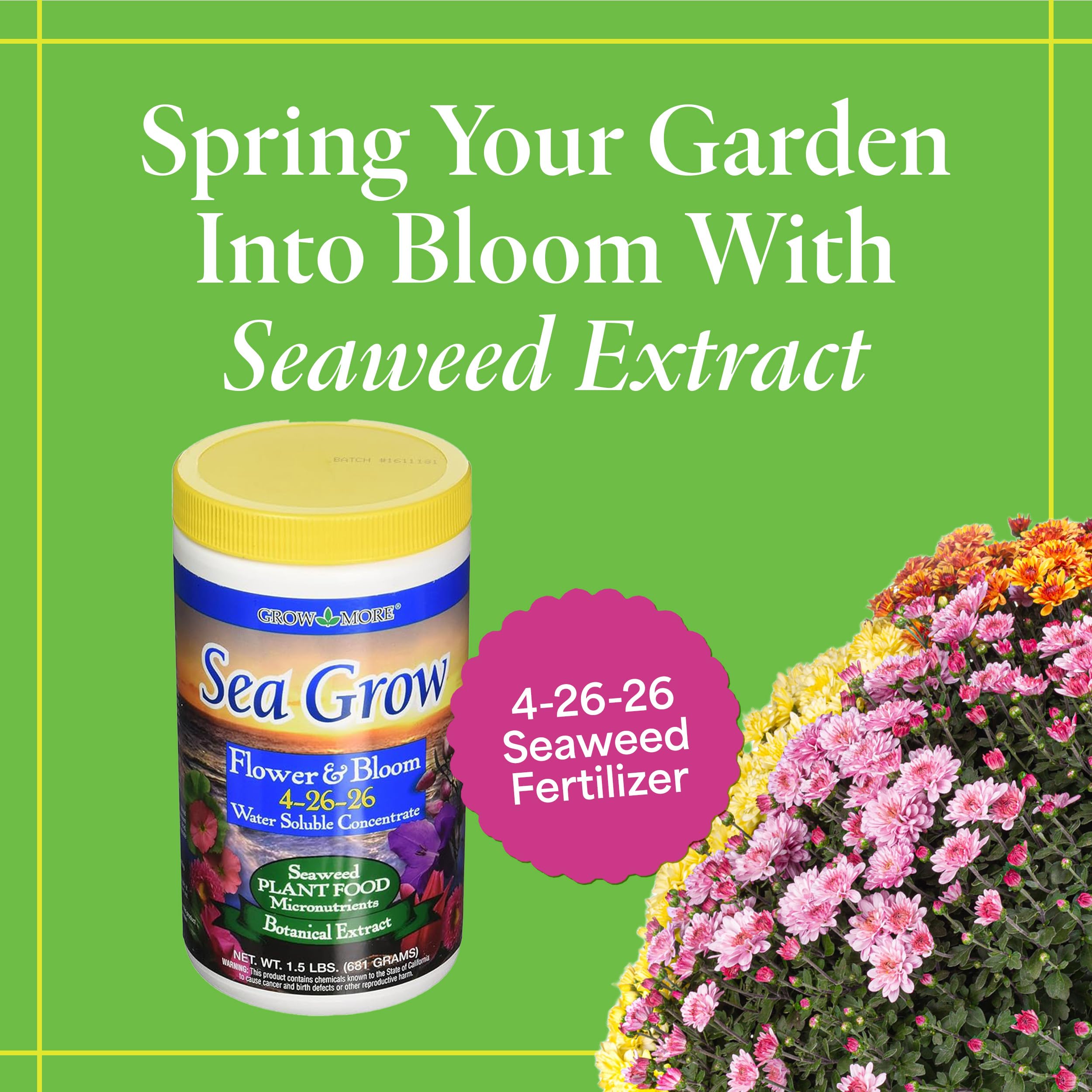 Pouring Grow More Sea Grow for seaweed-based plant nourishment