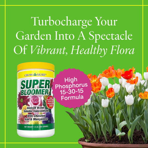Grow More Super Bloomer bloom booster in action promoting lush blooms in the garden.