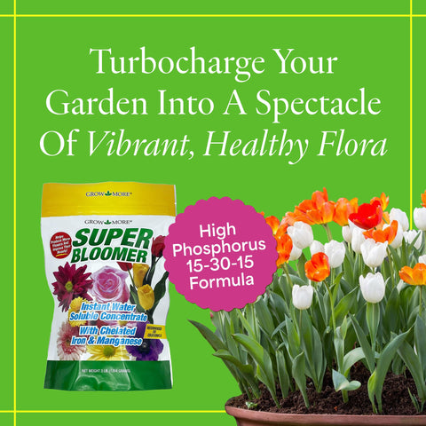 Grow More Super Bloomer dissolving granules demonstrate quick absorption for strong blooms.