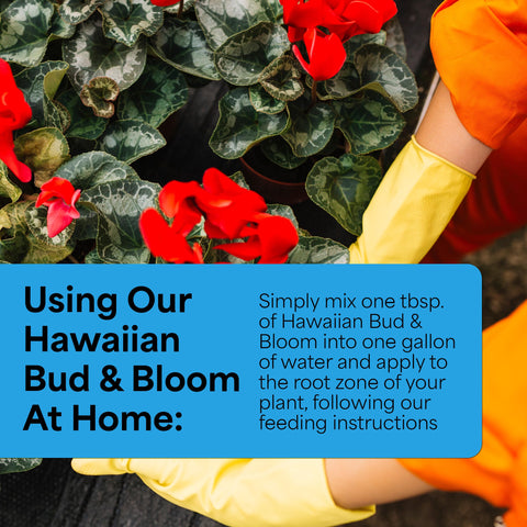 Grow More USA-made label signals trusted quality for flower growers.