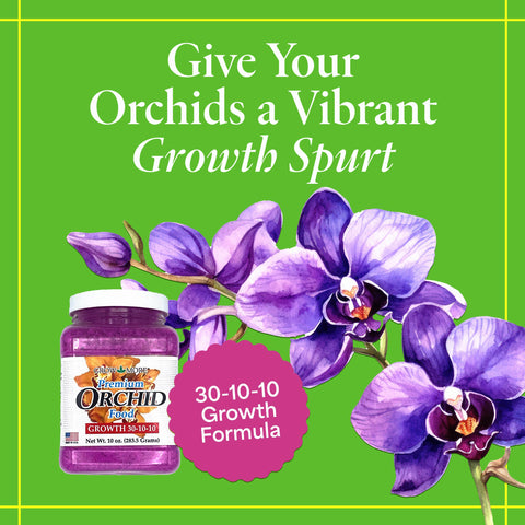 Grow More water-soluble orchid fertilizer dissolving in water for easy feeding.