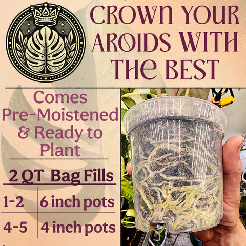 Grow Queen aerated mix with lava rock enhances drainage and airflow.