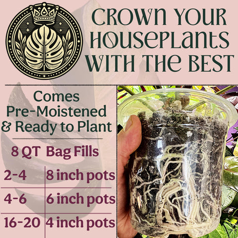 Grow Queen biochar-enhanced mix preserves nutrients for steady plant growth.