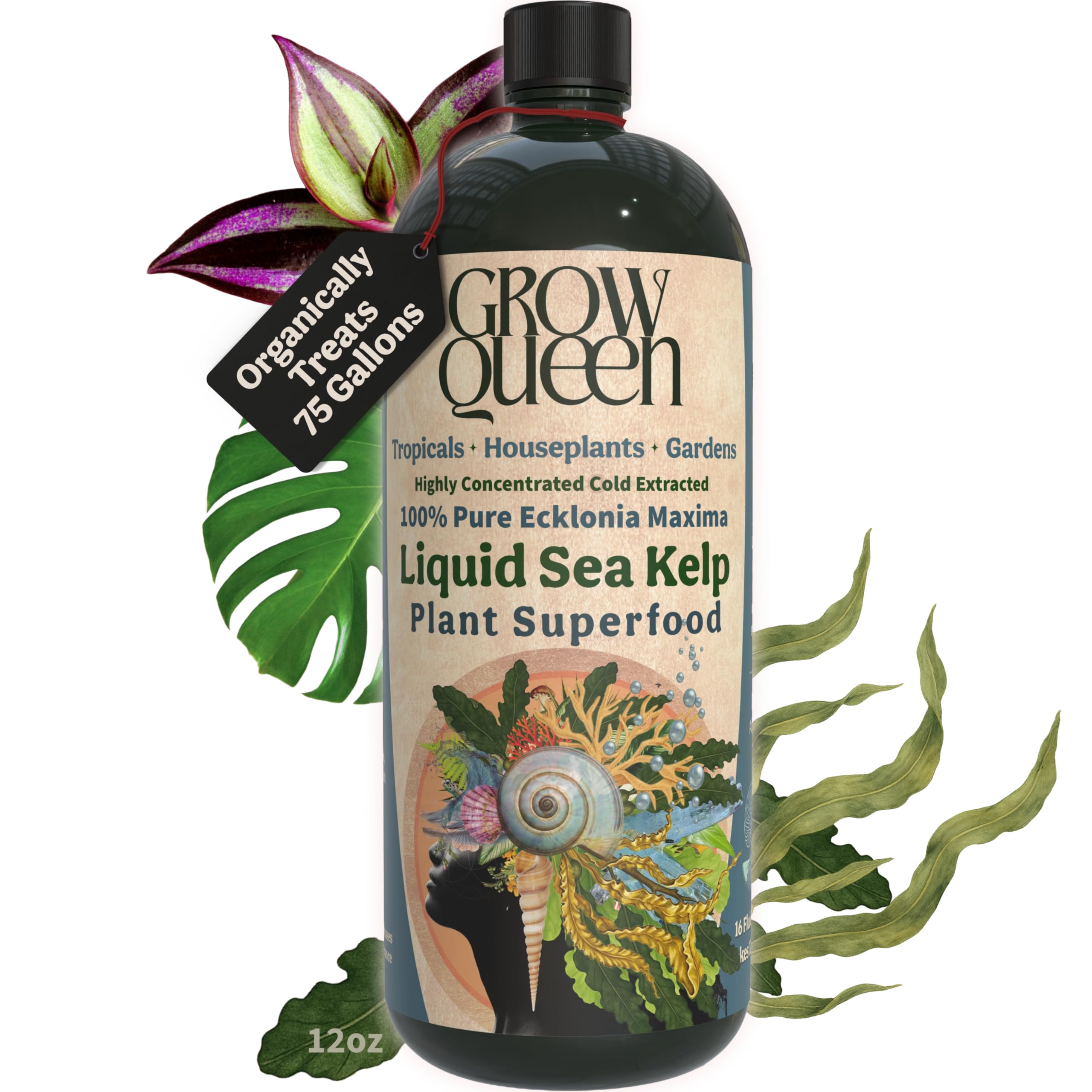 Grow Queen bottle pour enables precise, mess-free feeding for plants