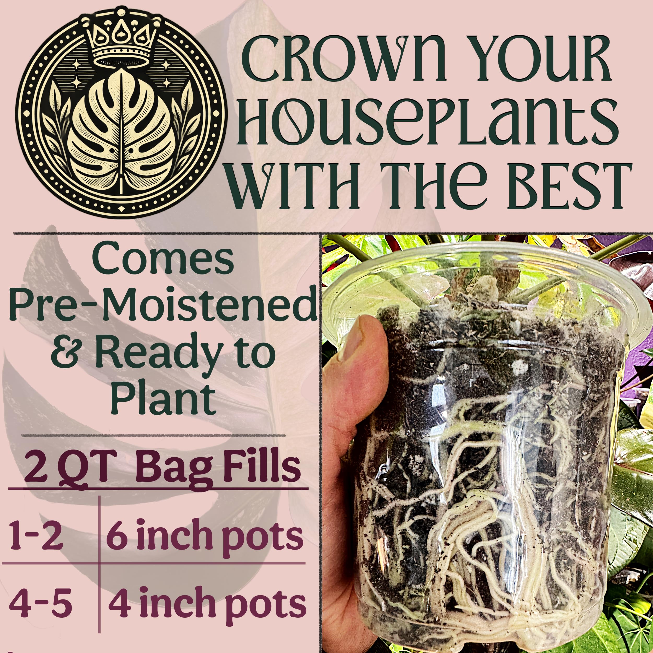 Grow Queen Chunky mix with bark, lava, and pumice enhances drainage and airflow.