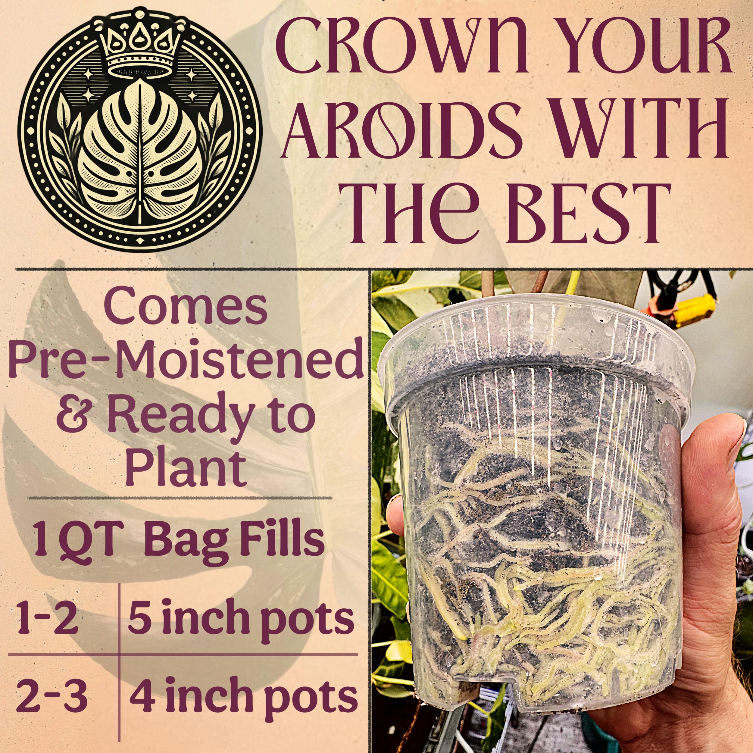 Drainage and aeration focus in Grow Queen Craft Aroid Potting Mix