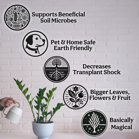 Grow Queen Flower bloom scene demonstrates brighter blooms with natural nutrients