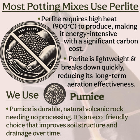 Grow Queen mix reduces gnats by promoting drainage and airflow in containers.
