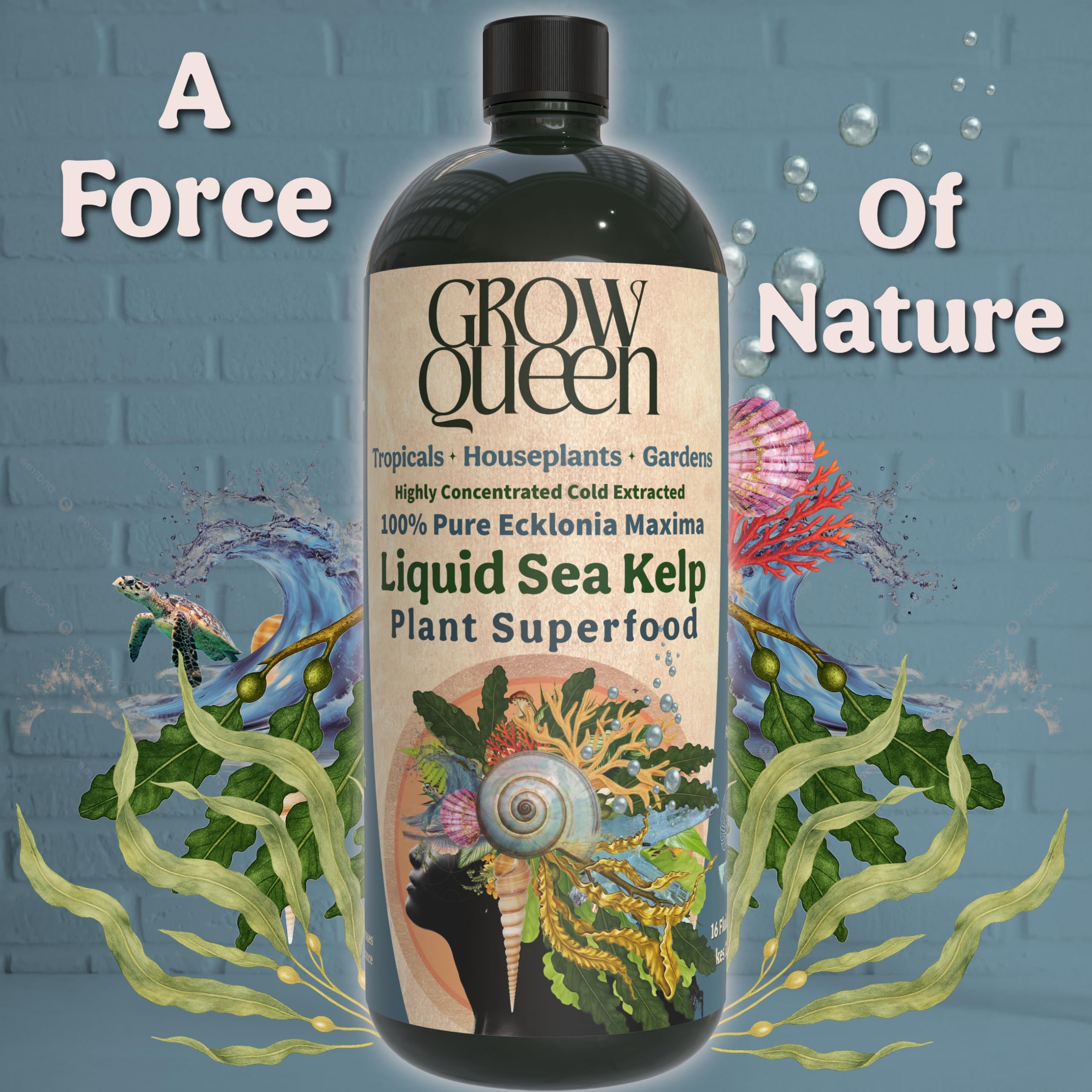 Grow Queen healthy leaves showcase vibrant color and stronger indoor foliage