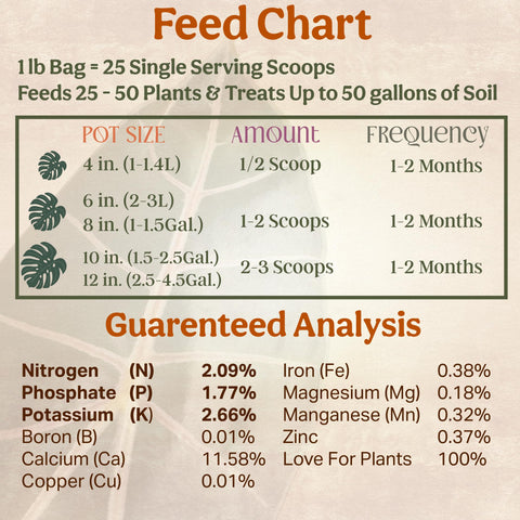 Healthy root systems develop after Grow Queen soil treatment.