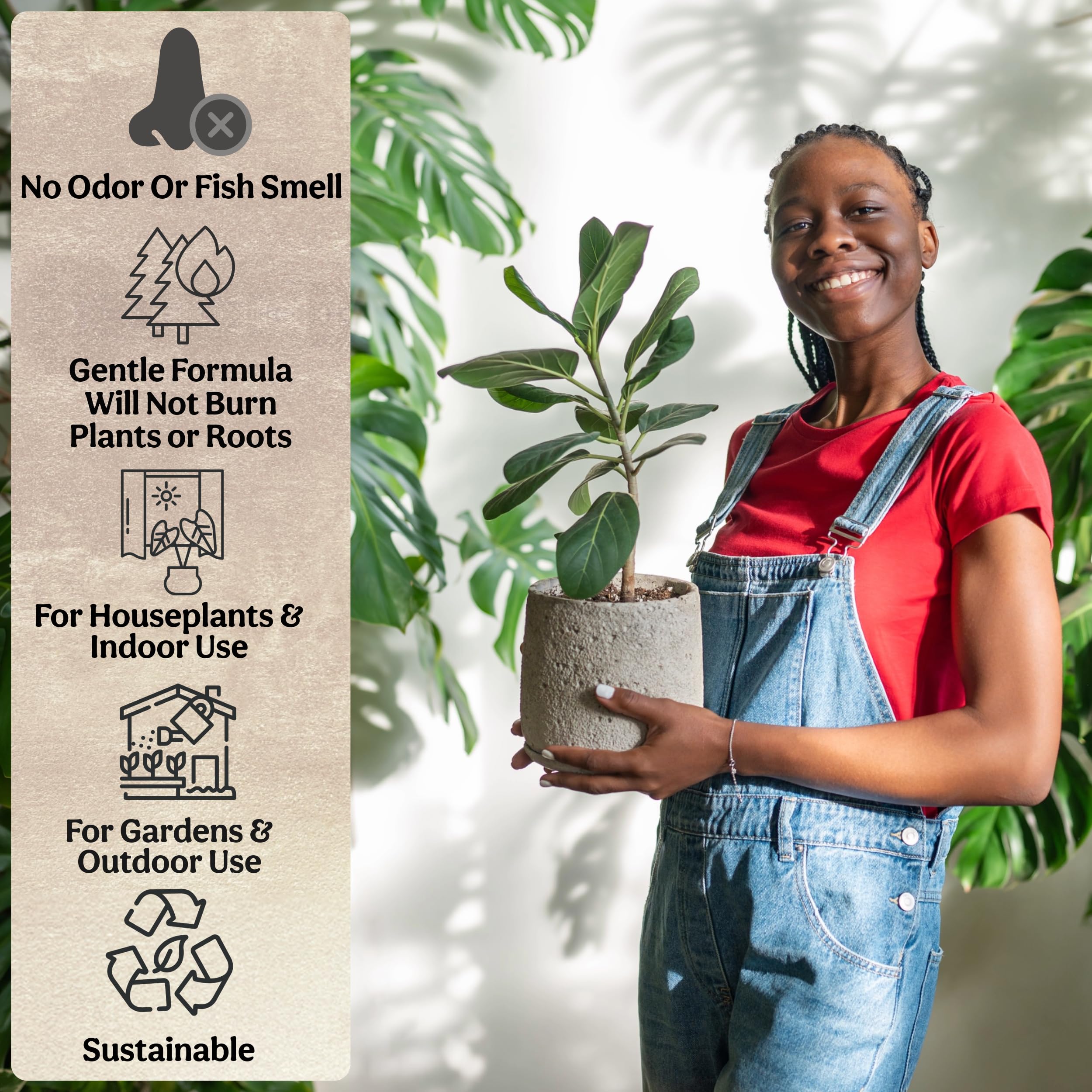 Grow Queen indoor plants with lush green foliage and balanced nutrition