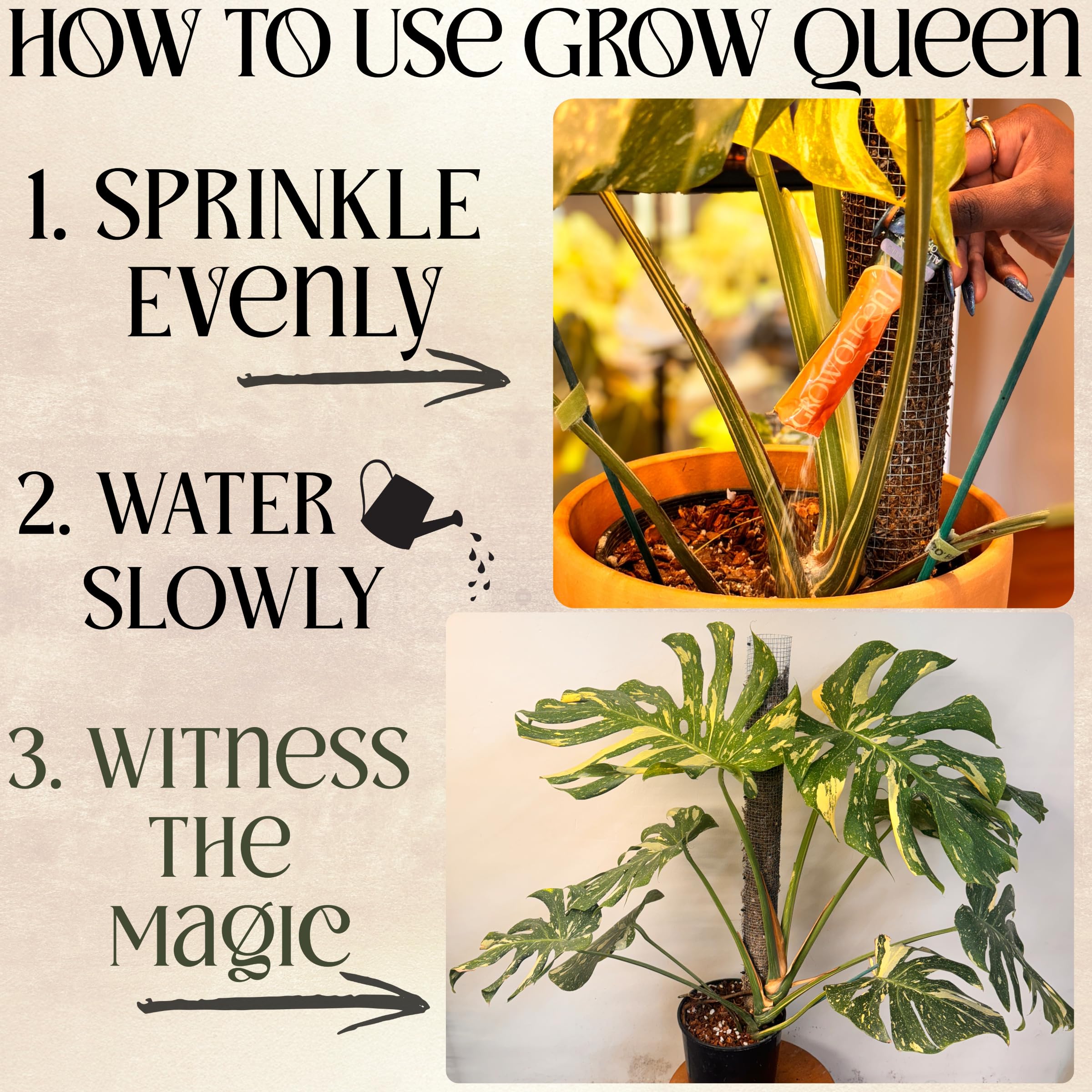 Grow Queen measuring spoon demonstrates precise single-serving dosing for plants.