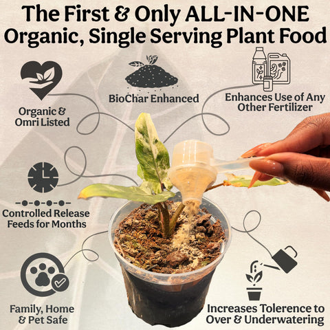 Soil surface shows thriving microbial activity after Grow Queen application.