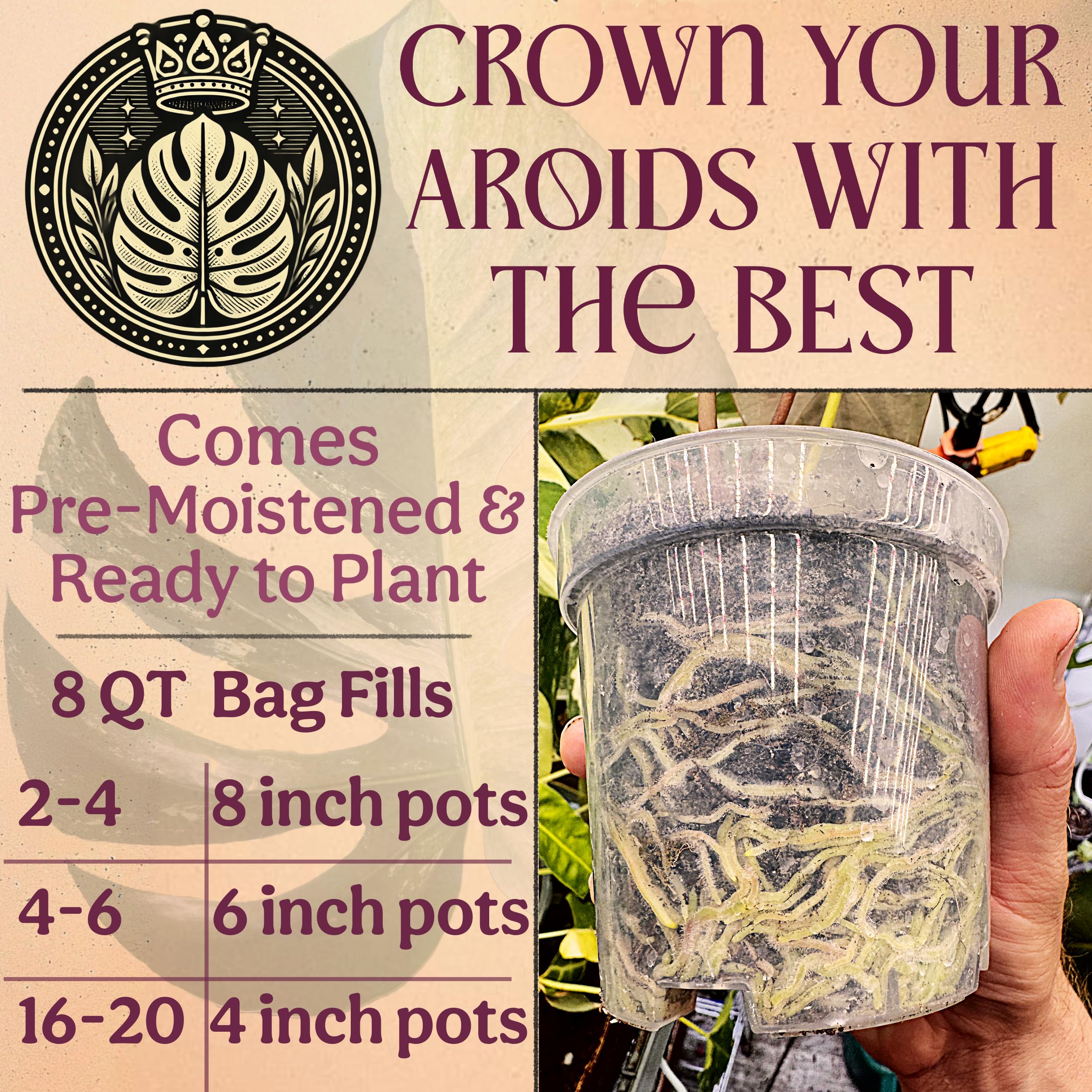 Grow Queen Tree Fern Fiber supports soil conditioning for tropical roots
