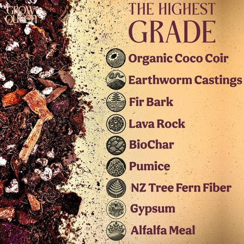 Grow Queen New Zealand Tree Fern Fiber improves soil conditioning.