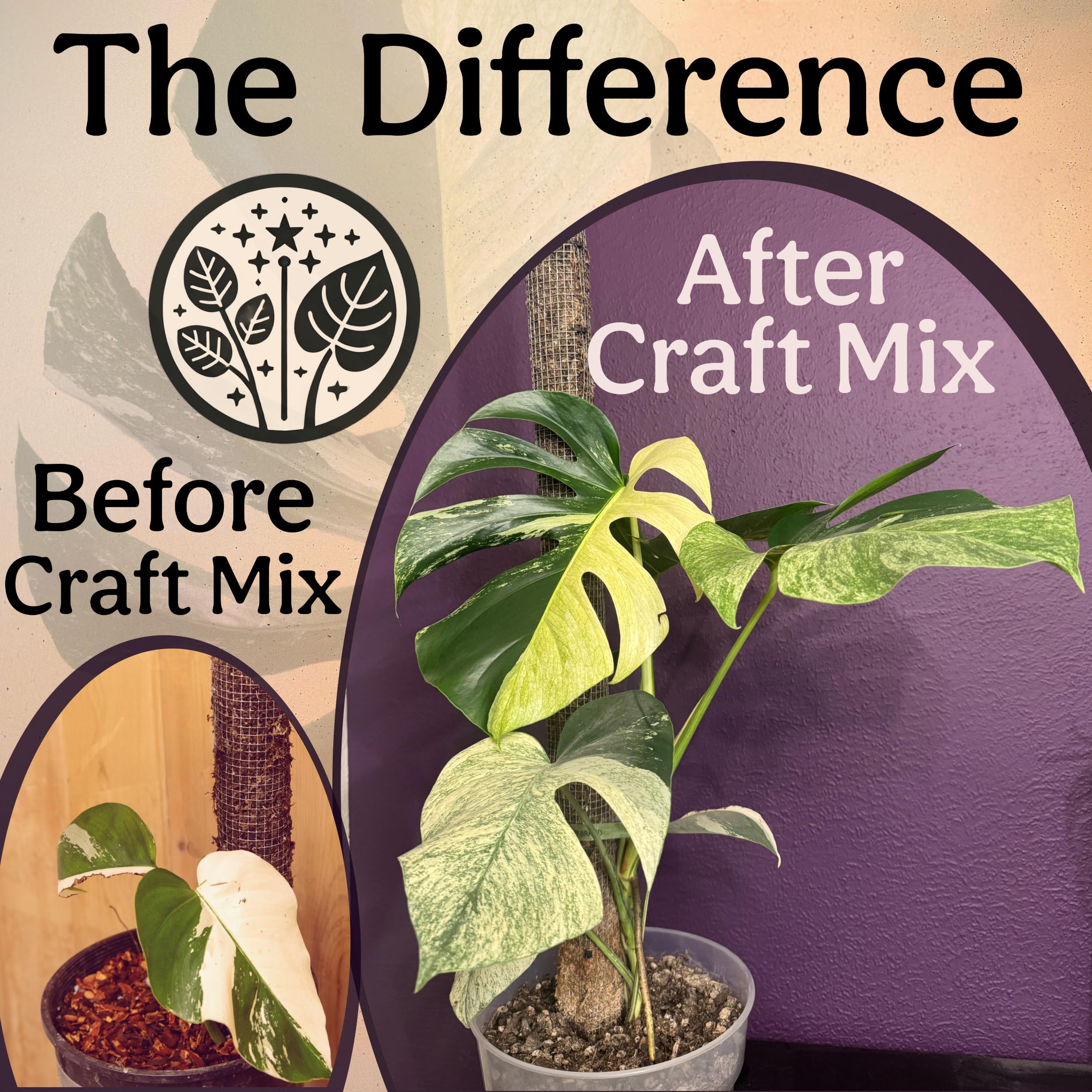 Peat-free, perlite-free Grow Queen mix with pumice and lava for drainage