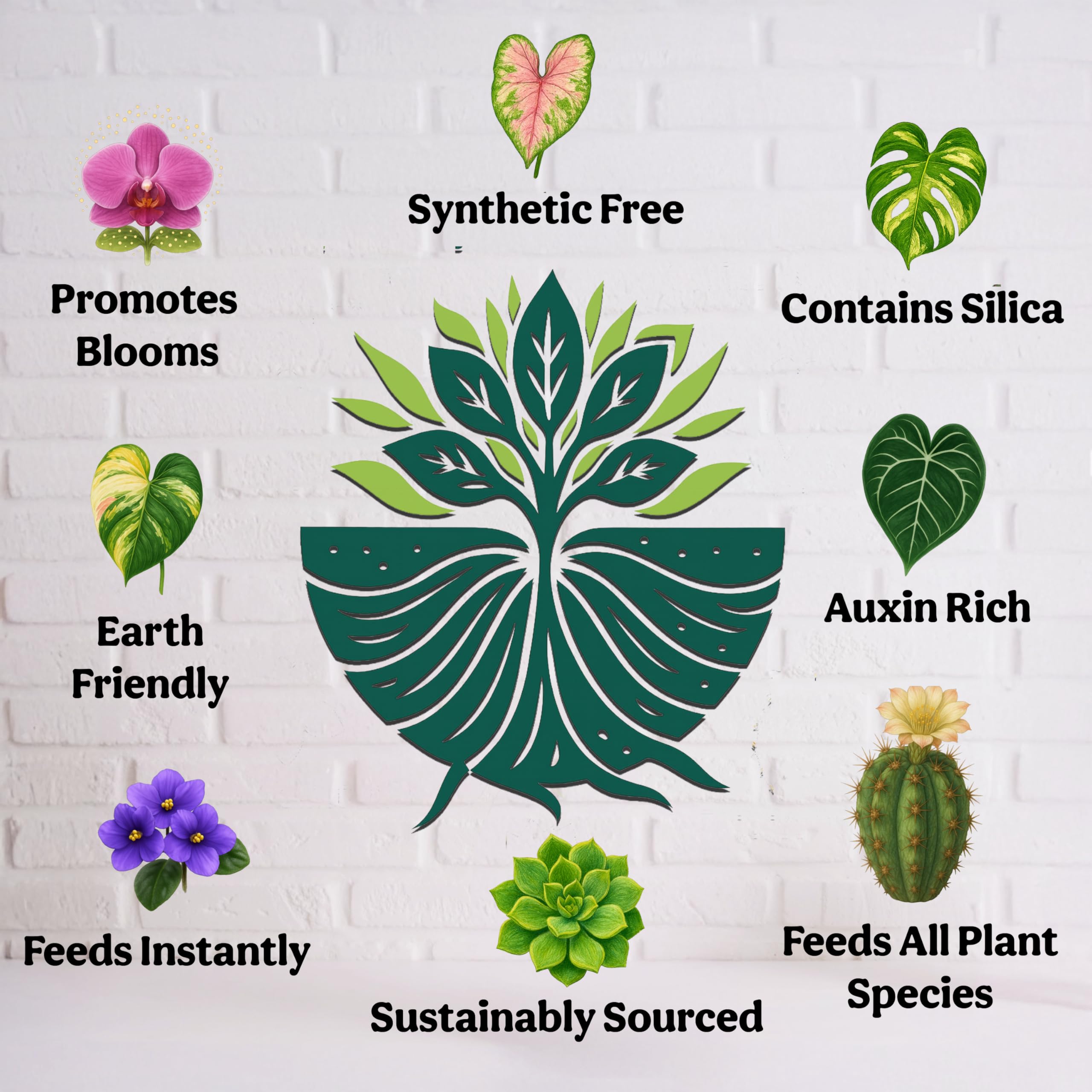 Grow Queen odor-free fertilizer designed for safe home use