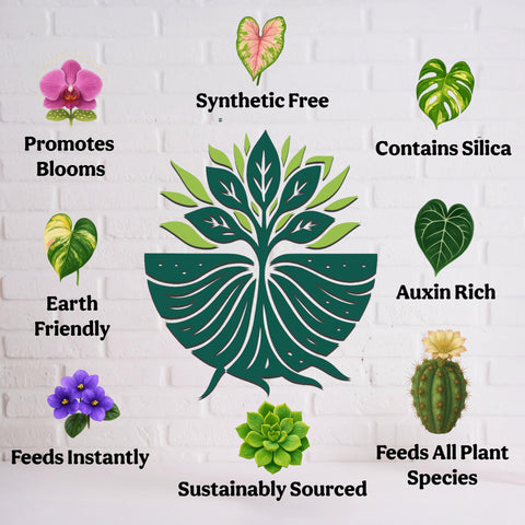Grow Queen odor-free professional-grade indoor plant fertilizer