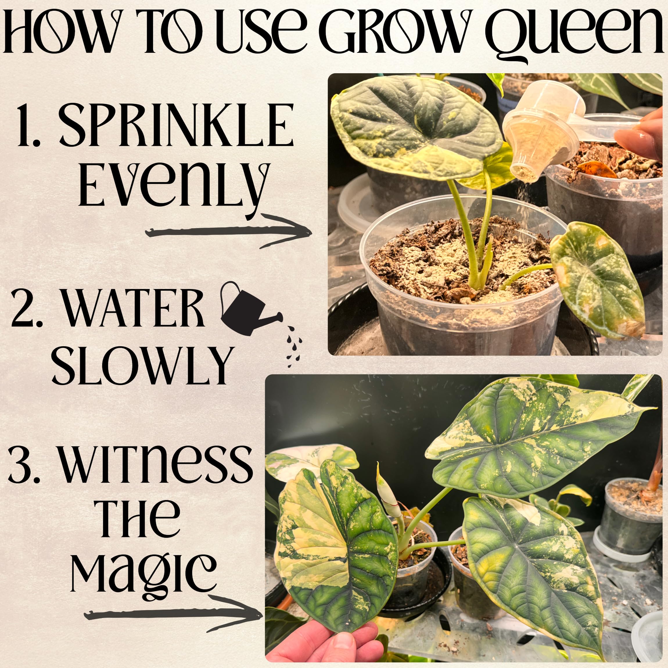 Grow Queen packaging emphasizes organic, OMRI-listed plant nutrition.