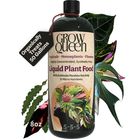 Grow Queen Organic Liquid Fertilizer bottle ready to feed indoor plants