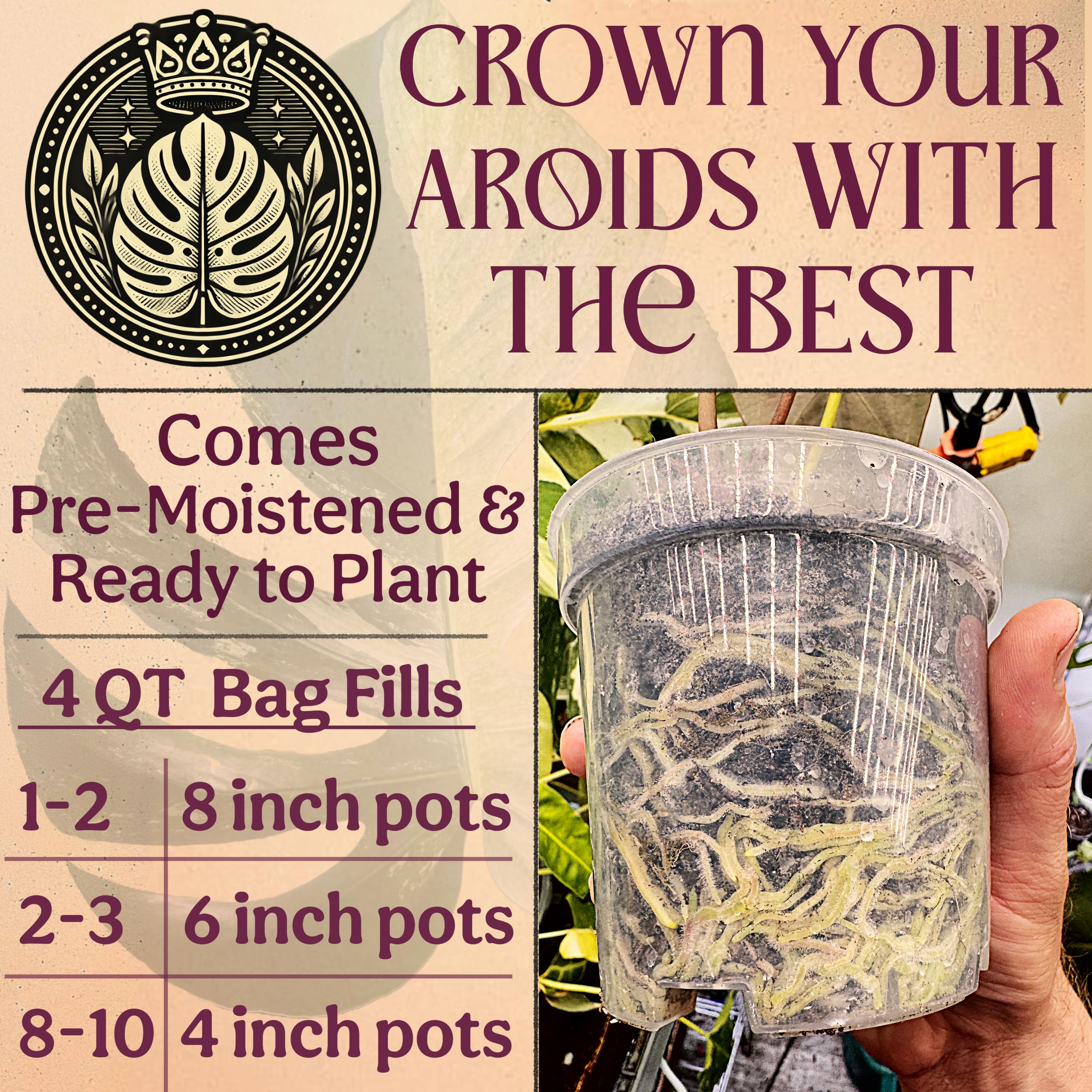 Grow Queen peat-free coco coir supports sustainable growing