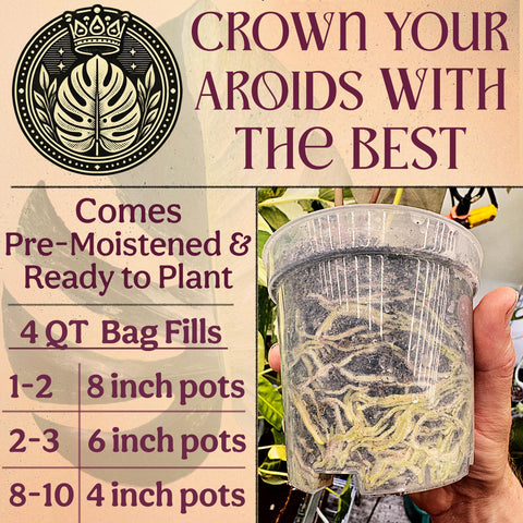 Grow Queen peat-free coco coir supports sustainable growing