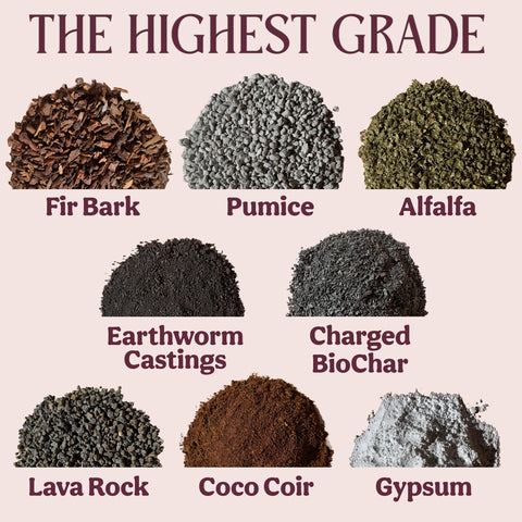 Grow Queen peat-free, perlite-free soil stays clean and sustainable for indoor use.