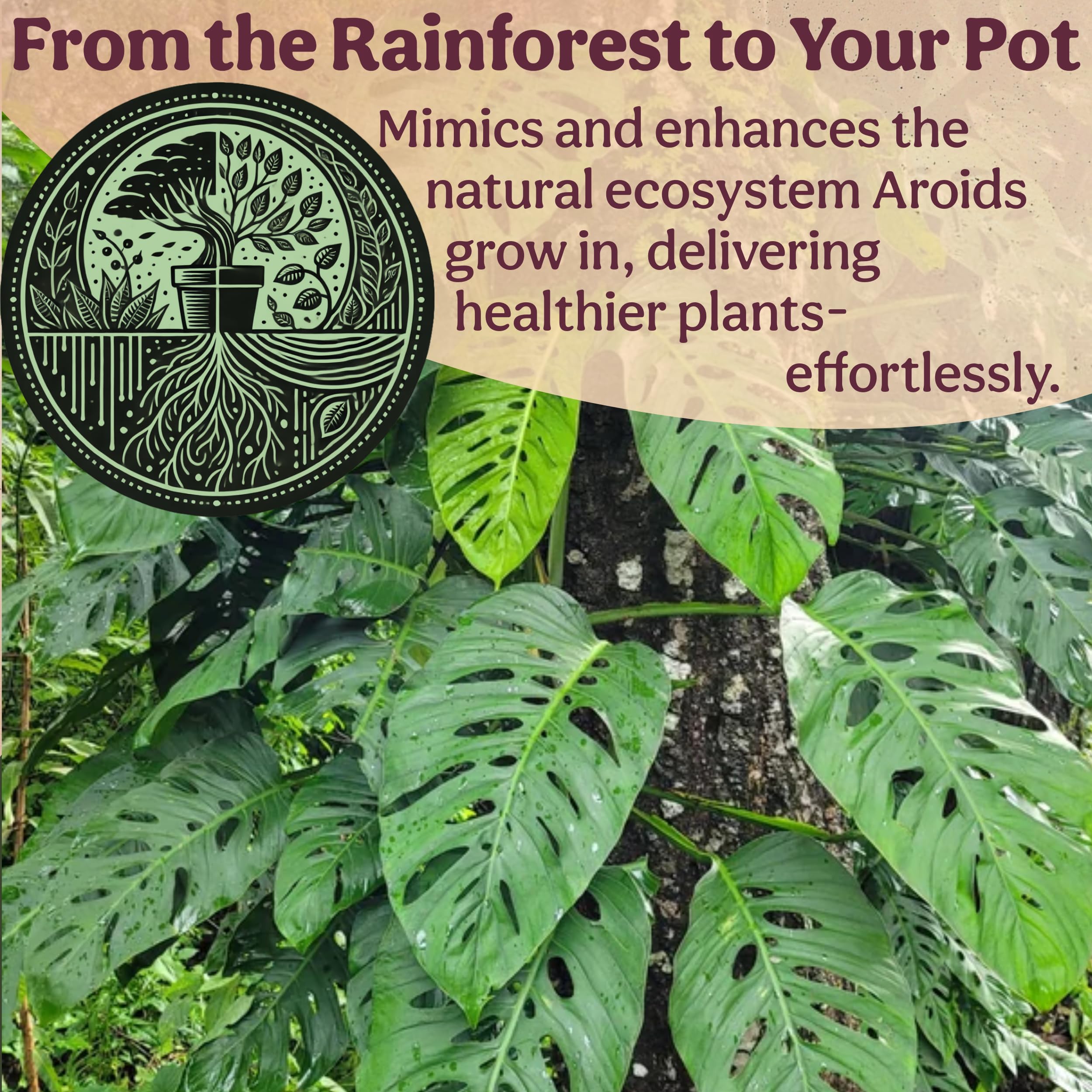 Ready-to-use, pet-friendly Grow Queen soil in a potting scene