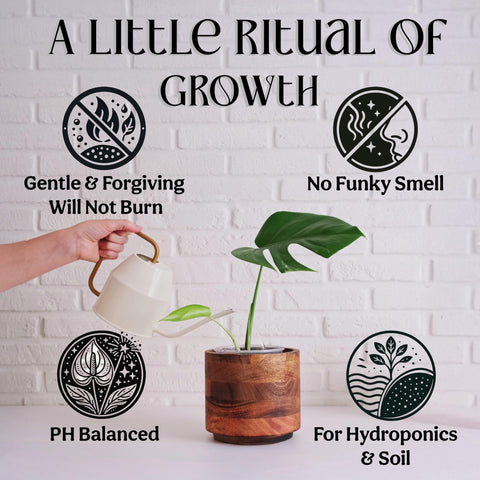 Grow Queen sea kelp ingredients highlight natural growth boosters