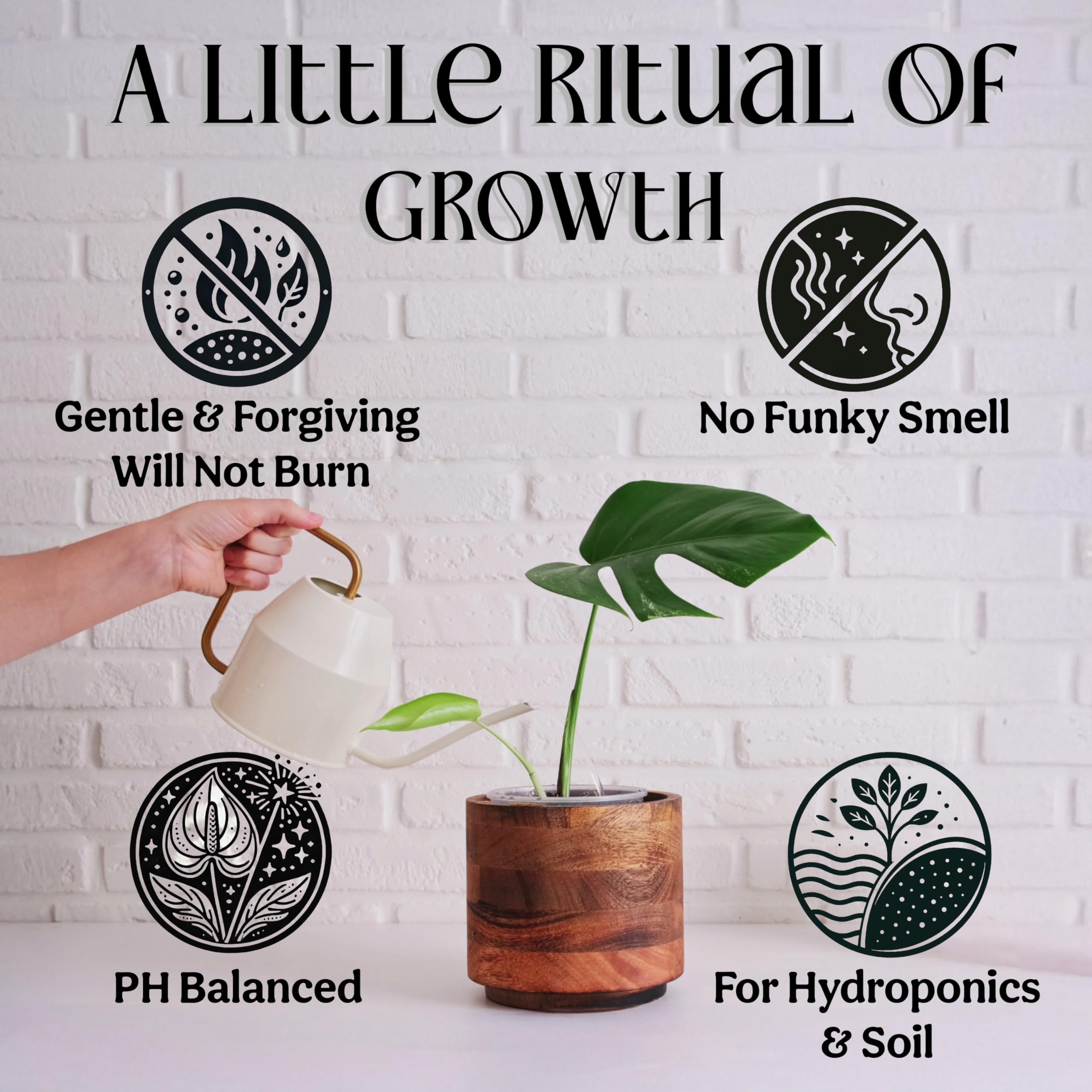 Grow Queen sea kelp formula supports robust root growth