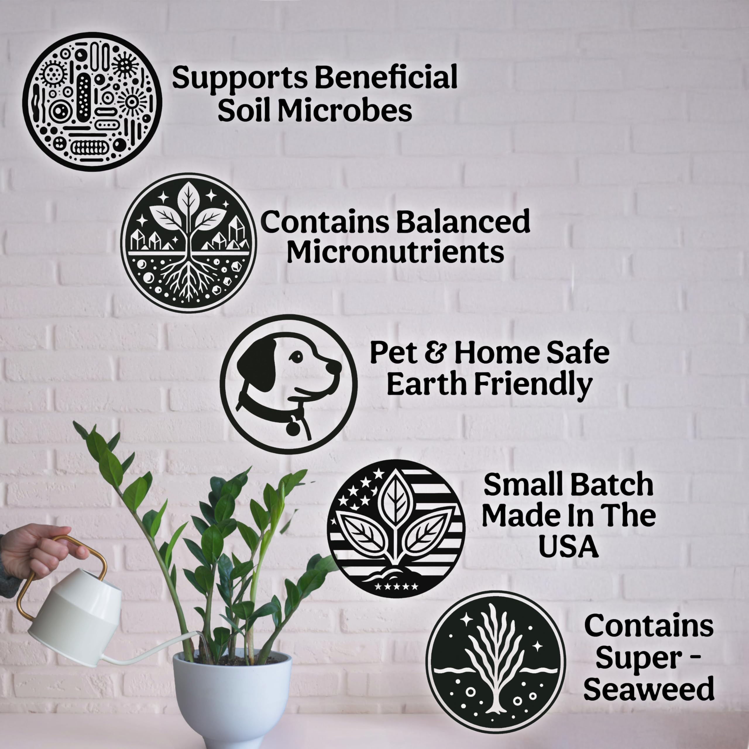 Grow Queen sea kelp formula supports stronger roots.