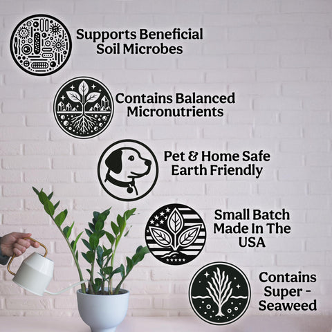 Grow Queen sea kelp formula supports stronger roots.