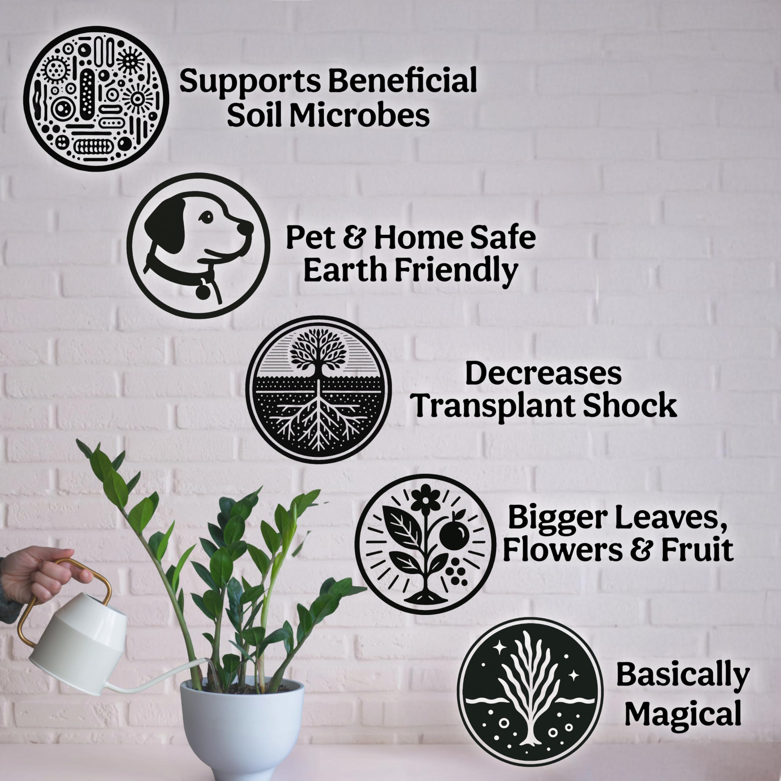 Grow Queen tropical plants care helps lush, tropical foliage indoors