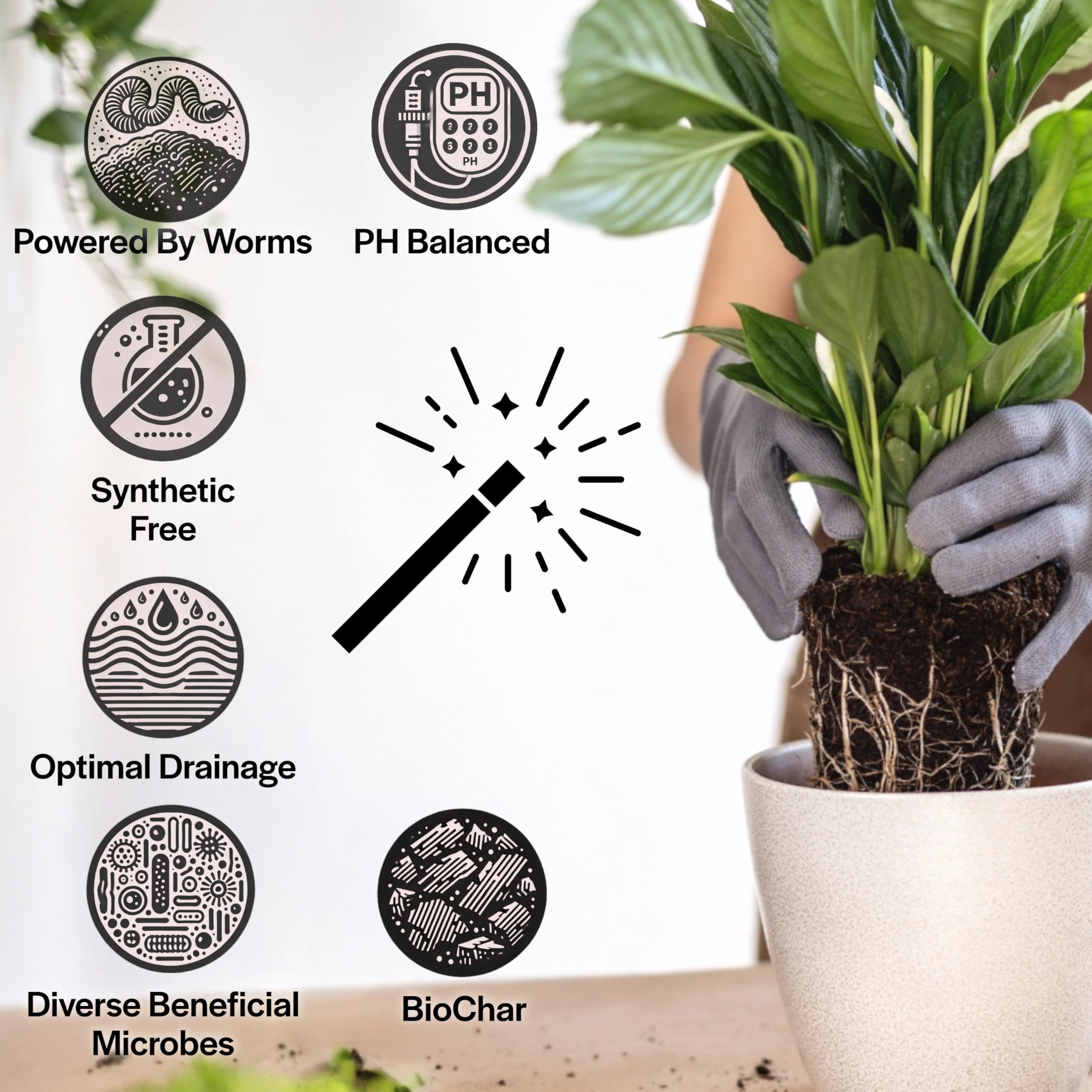 Grow Queen worm castings enrich soil for lush, vibrant foliage in pots.