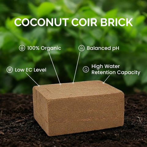 Growbycoco Coco Coir Brick expands to 70-75 liters of rich growing medium