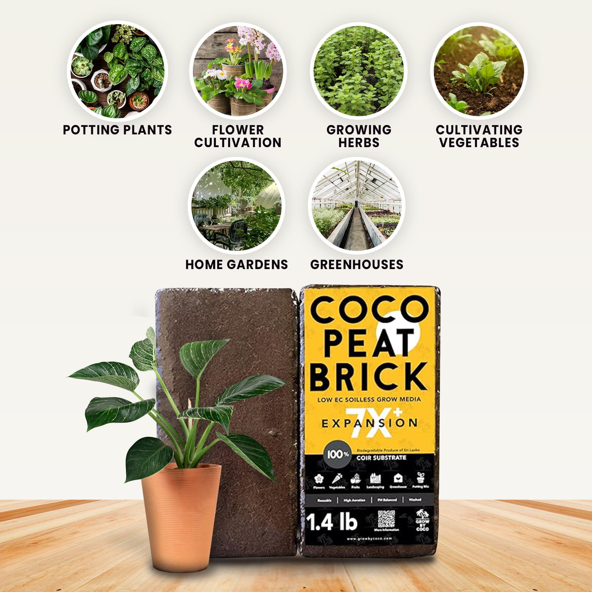 GrowBycoco coco coir brick expanded to volume for growing medium