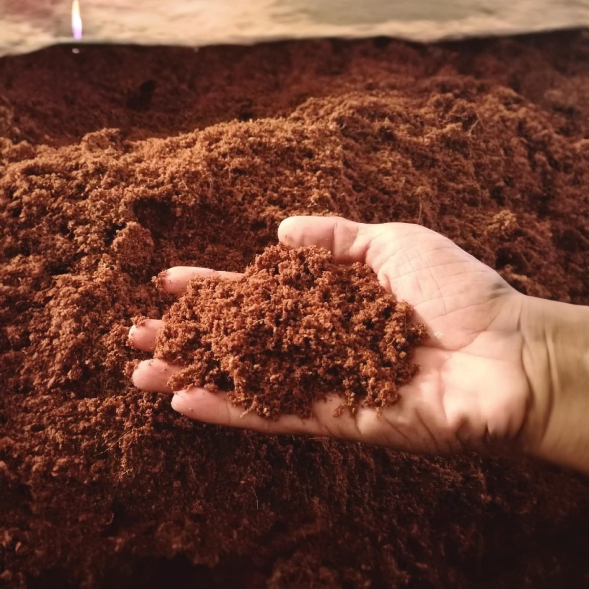 Growbycoco Coco Coir Brick in hydroponics supports drainage and root oxygen