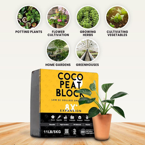 Growbycoco Coco Coir Brick soaking expands to a versatile growing medium