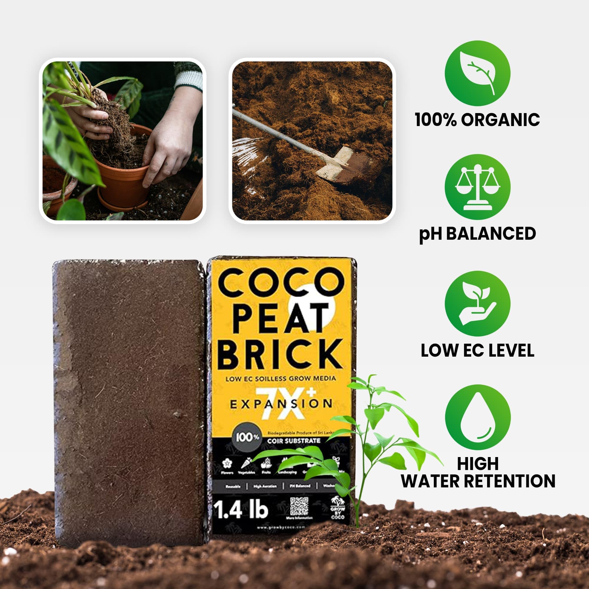 GrowBycoco coco coir brick used as potting mix base supports plants