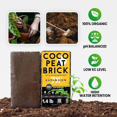 GrowBycoco coco coir brick used as potting mix base supports plants
