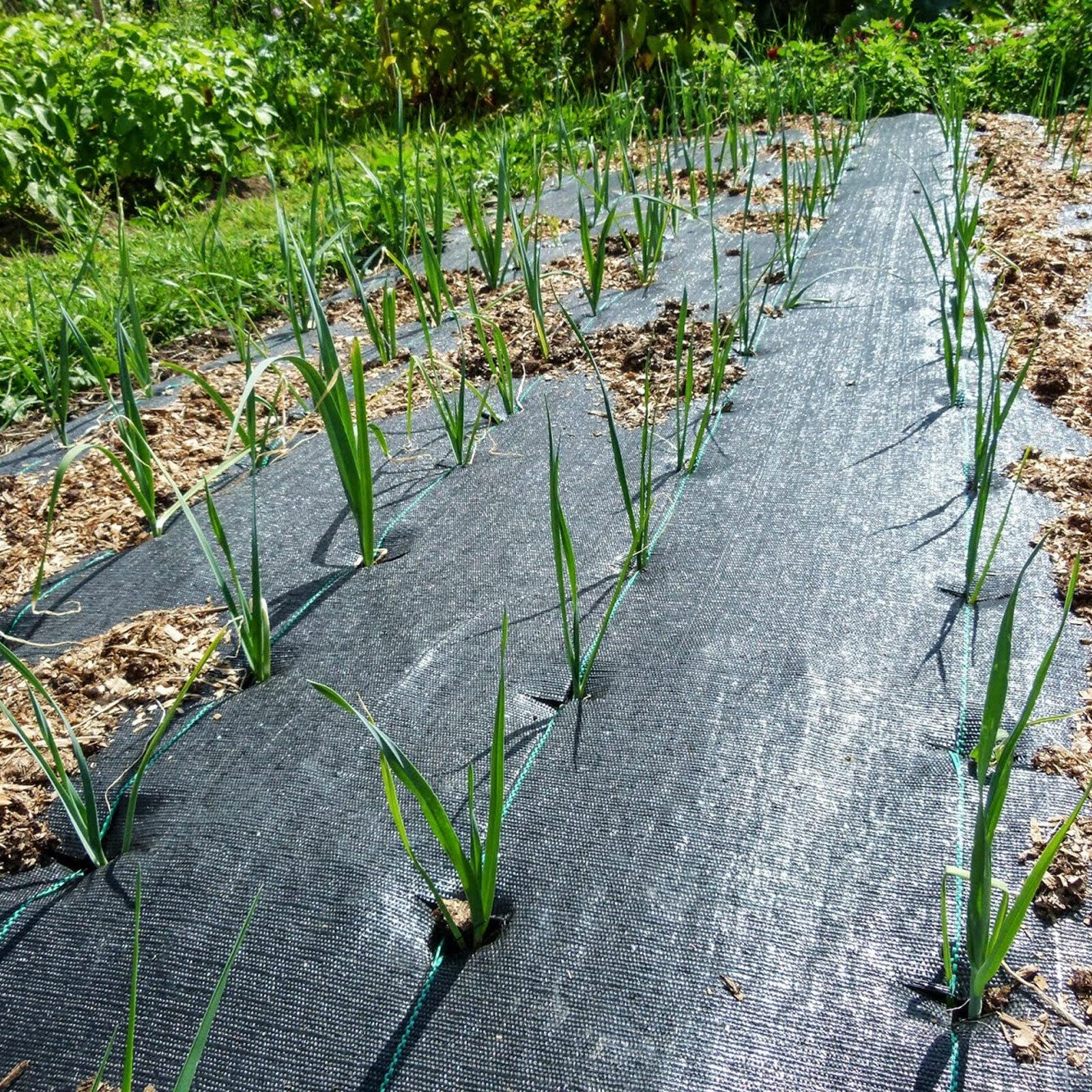 Groweco driveway and walkway protection fabric provides durable underlayer in high-traffic areas.