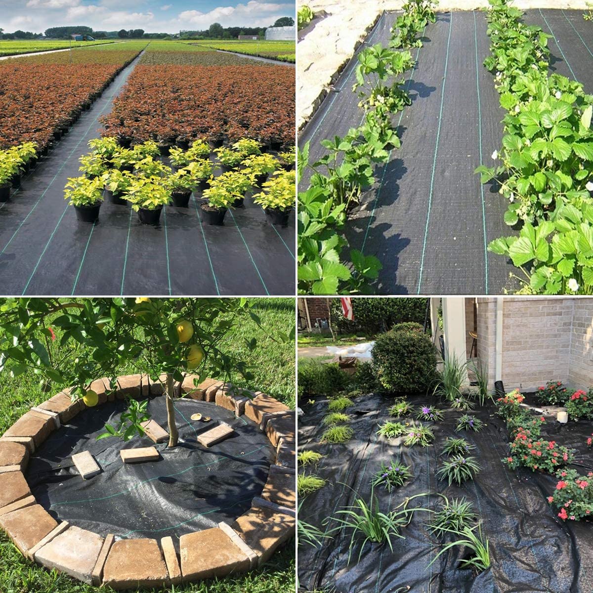 Groweco permeable landscape fabric promotes drainage and soil moisture retention in beds.