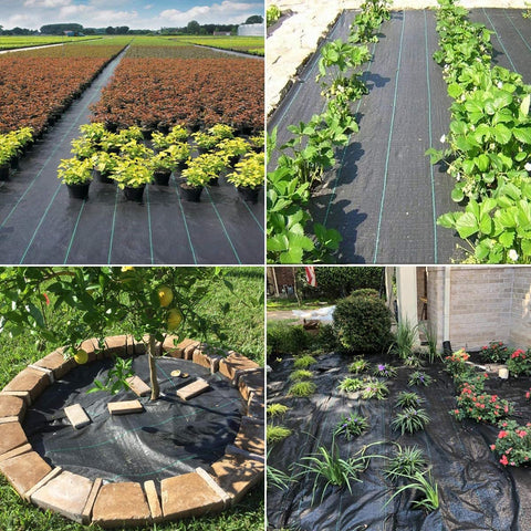 Groweco permeable landscape fabric allows water and air to reach soil