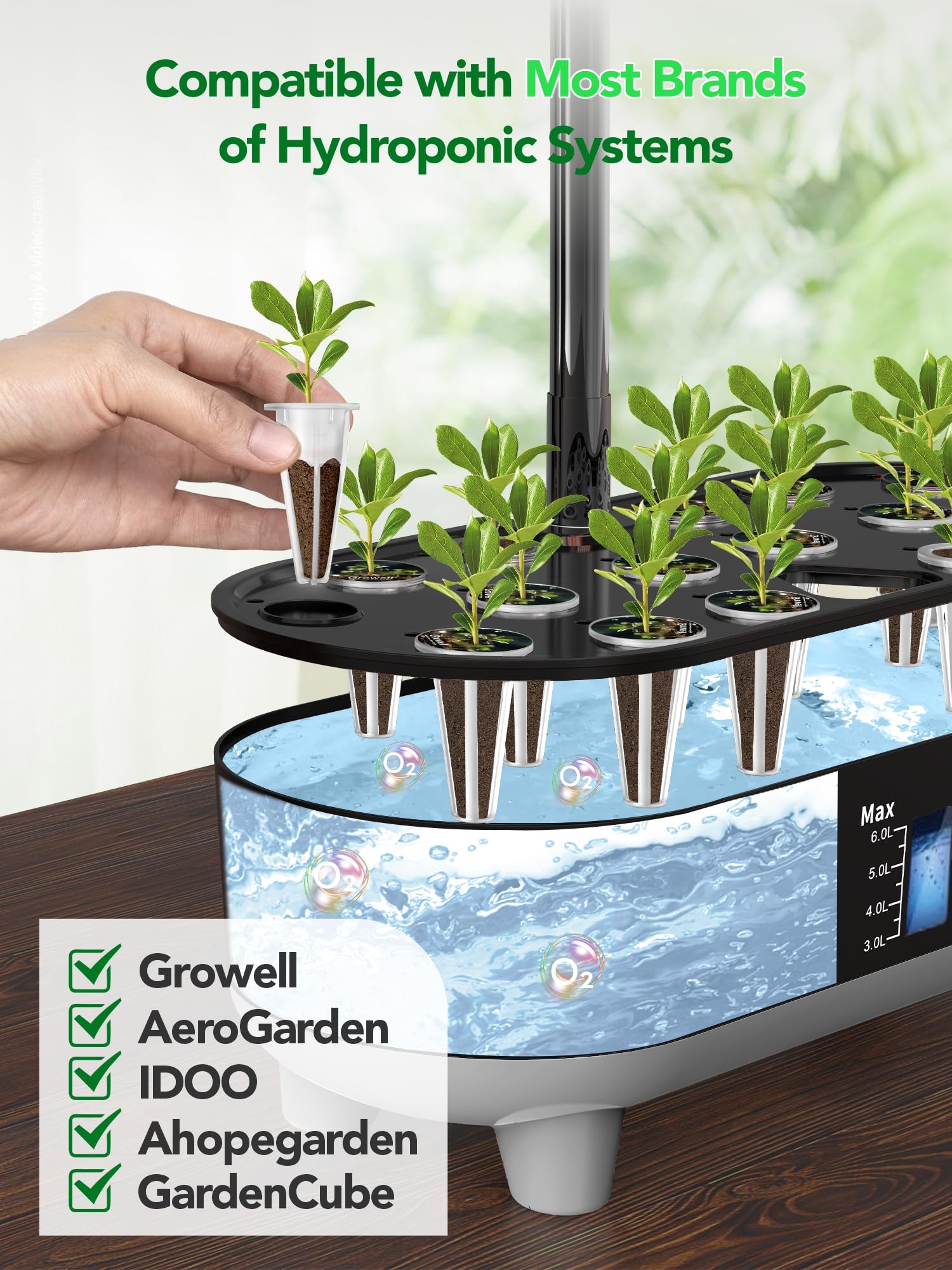 Growell grow sponges 120-pcs ready for soaking and seed germination.